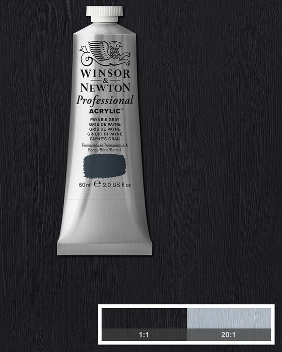 Payne's gray 37ml tube of Professional Acrylic Winsor and Newton